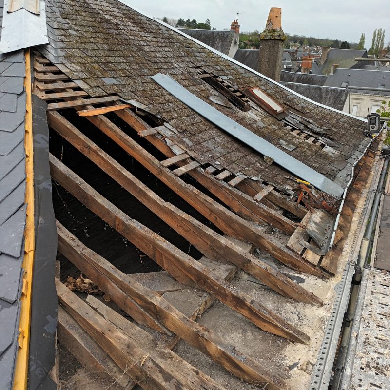 474991943_3996237600596565_722118701995764079_n