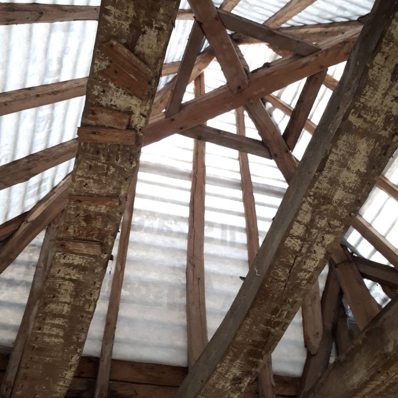 502730893_4125831047637219_6731668948221510710_n